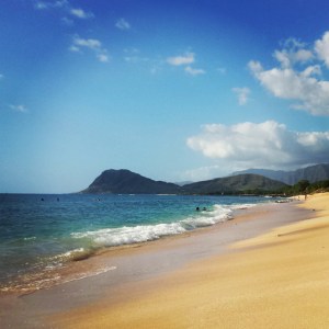 10733965_10205229659810892_6830196014085988086_n